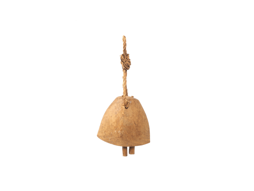 Camel Bells Calling
