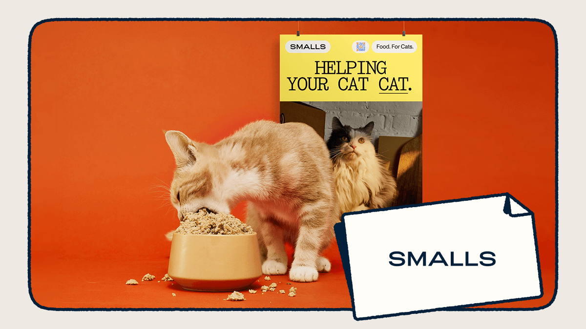 How Smalls Uses Bitly QR Codes and Short Links to Connect with Cat Care Enthusiasts