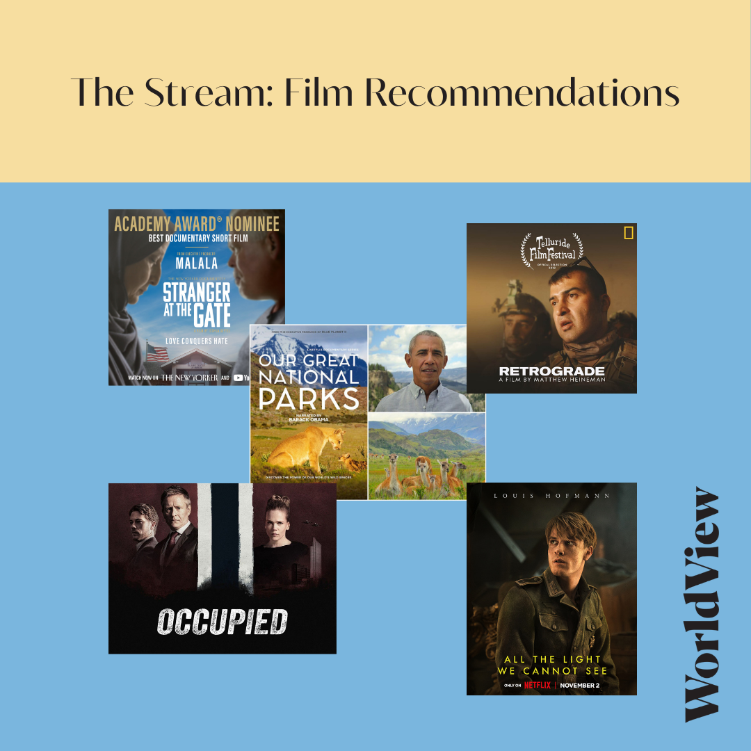 The Stream